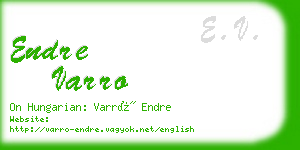 endre varro business card